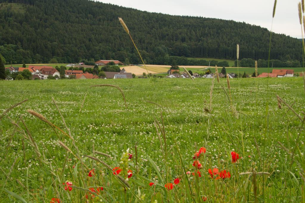 Fewo Alte Schule Willingen  Exteriör bild