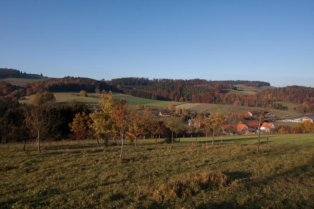 Fewo Alte Schule Willingen  Exteriör bild