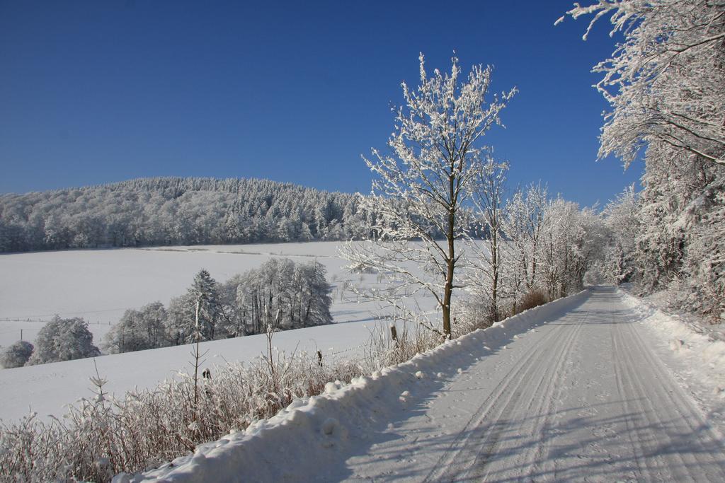 Fewo Alte Schule Willingen  Exteriör bild