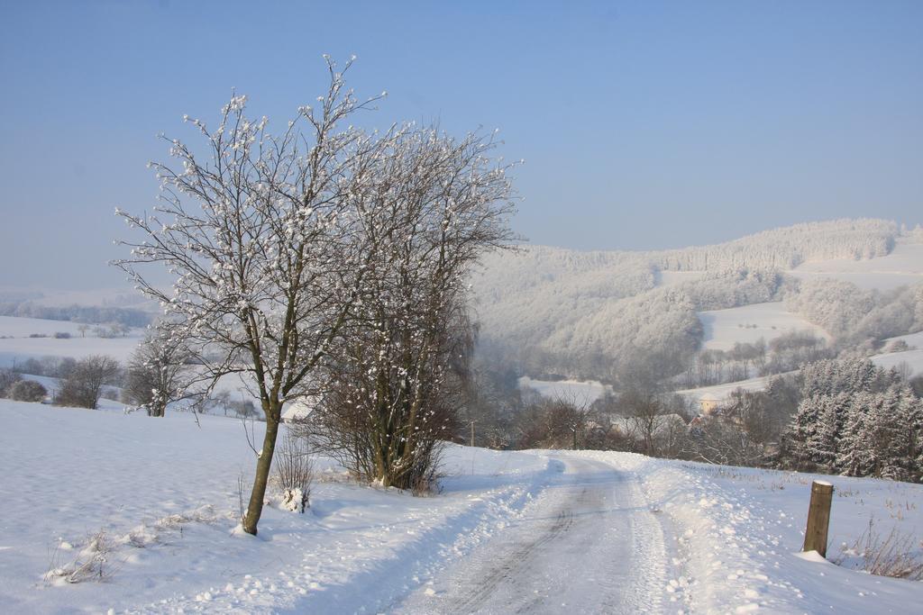 Fewo Alte Schule Willingen  Exteriör bild